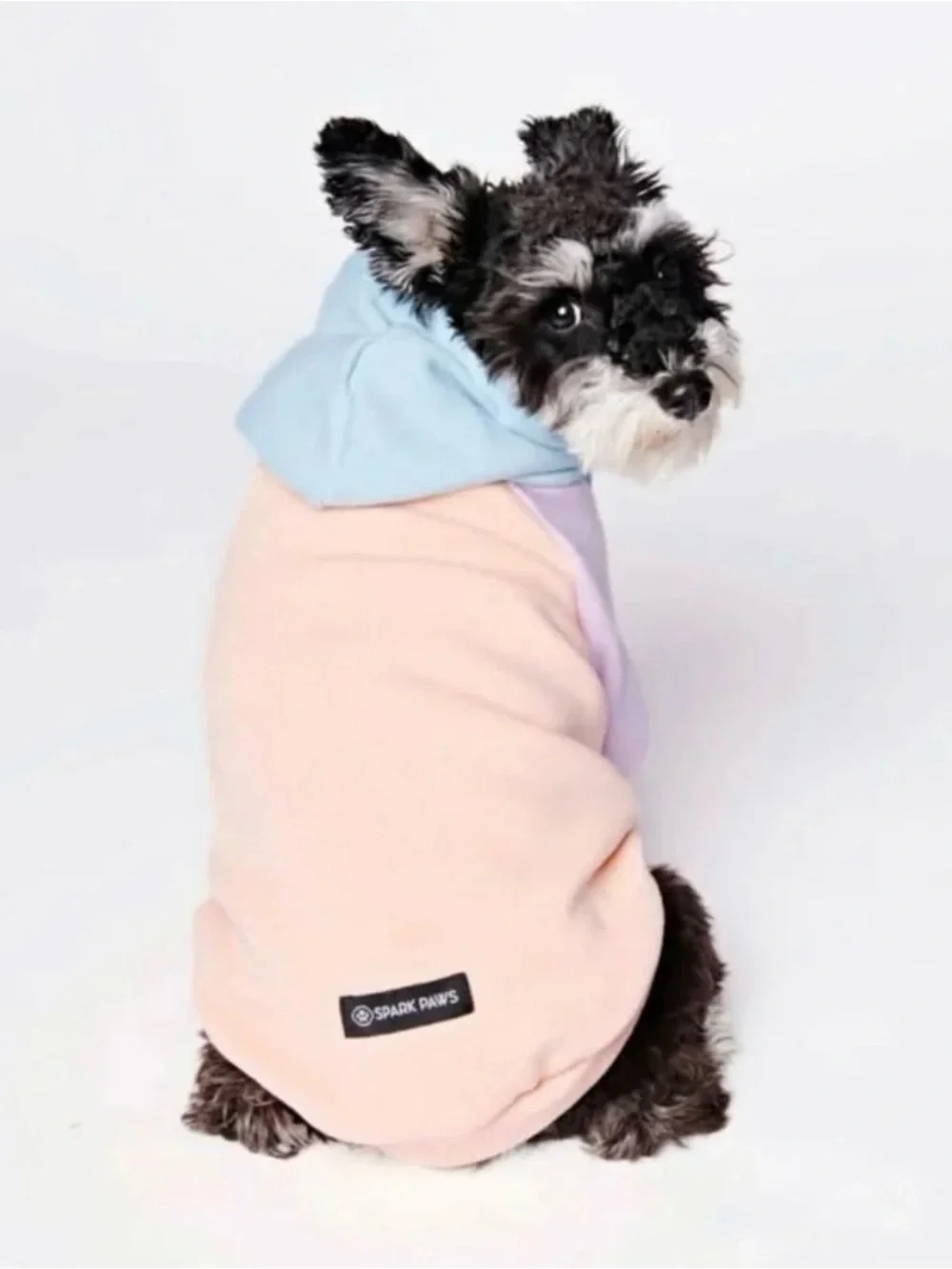 Spark Paws two adorable